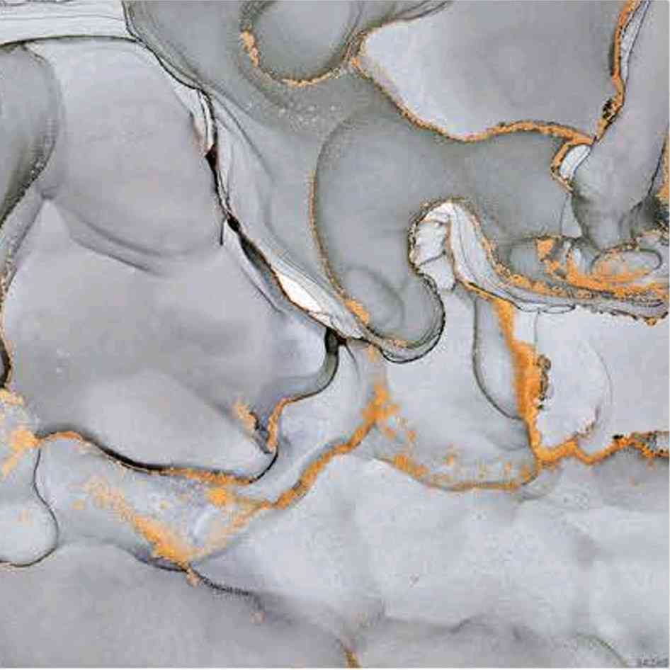 12x12 - Adesh - 2740 - F