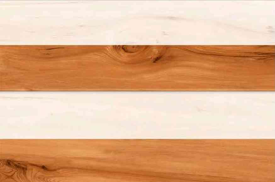 18x12 - Adesh - 12299 - Hl 1