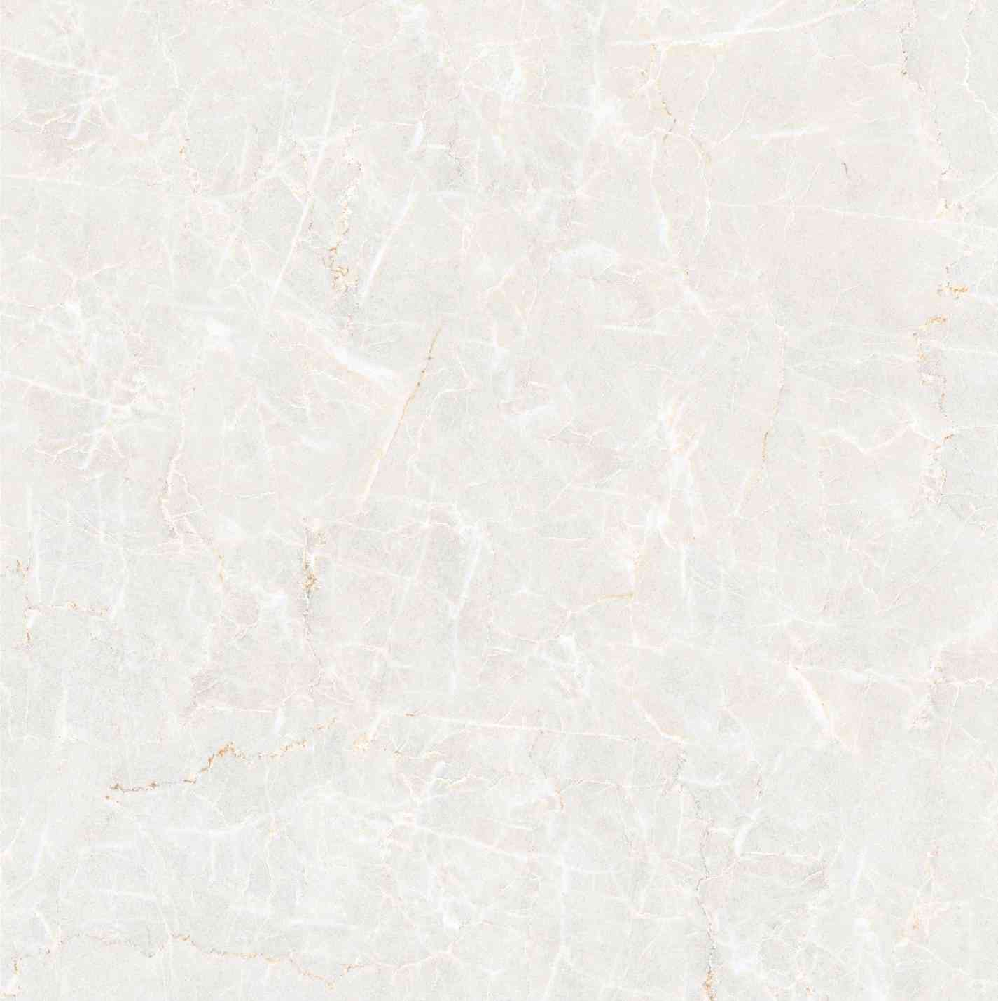 2x2 - Carving Gvt - Allen Cera - Polaris Lux