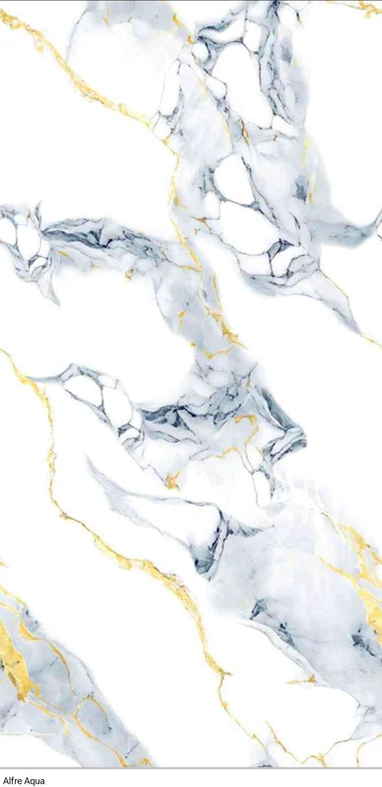 4x2 - Hg - Samp - Alfre Aqua