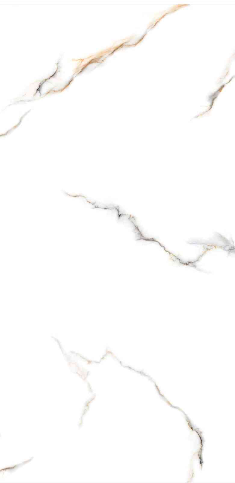 4x2 - Pgvt - Dakshinamurti - Oscar White