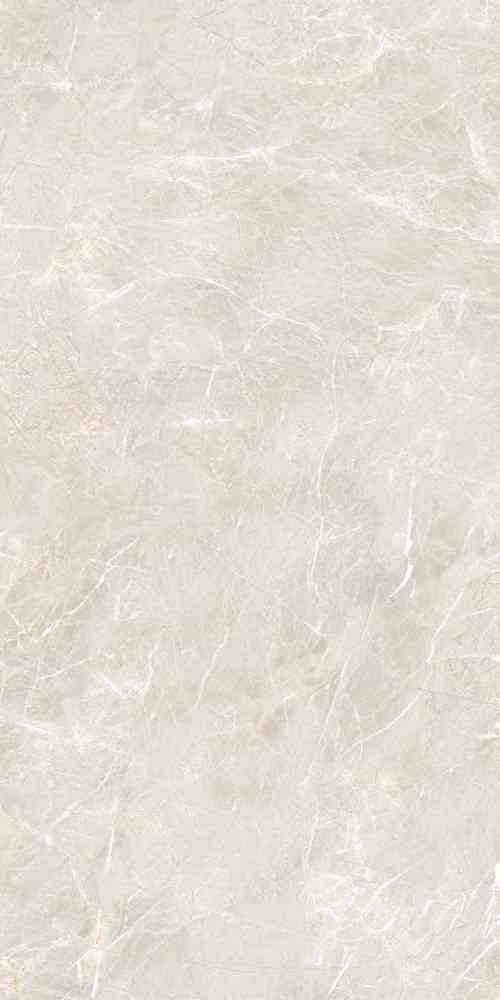 4x2 - Pgvt - Johnson - Frais Bianco