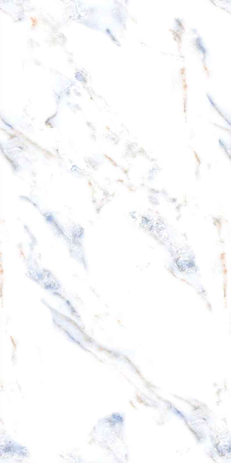 4x2 - Pgvt - Samp - Sapien Azul