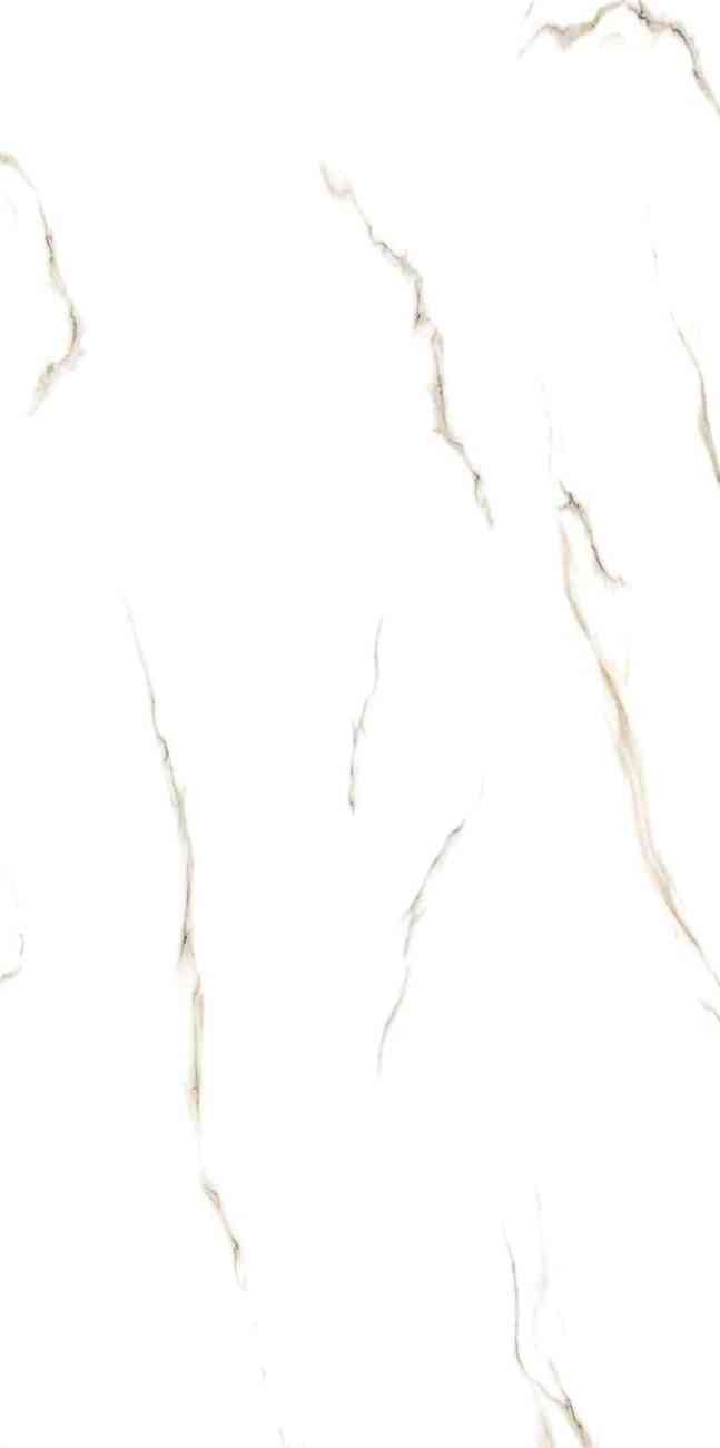 4x2 - Pgvt - Samp - Statuario Wings