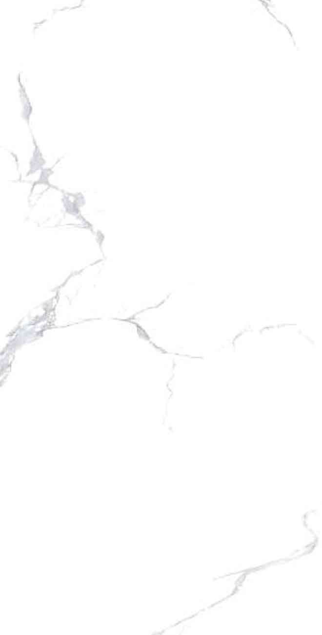 4x2 - Pgvt - Samp - Staturio