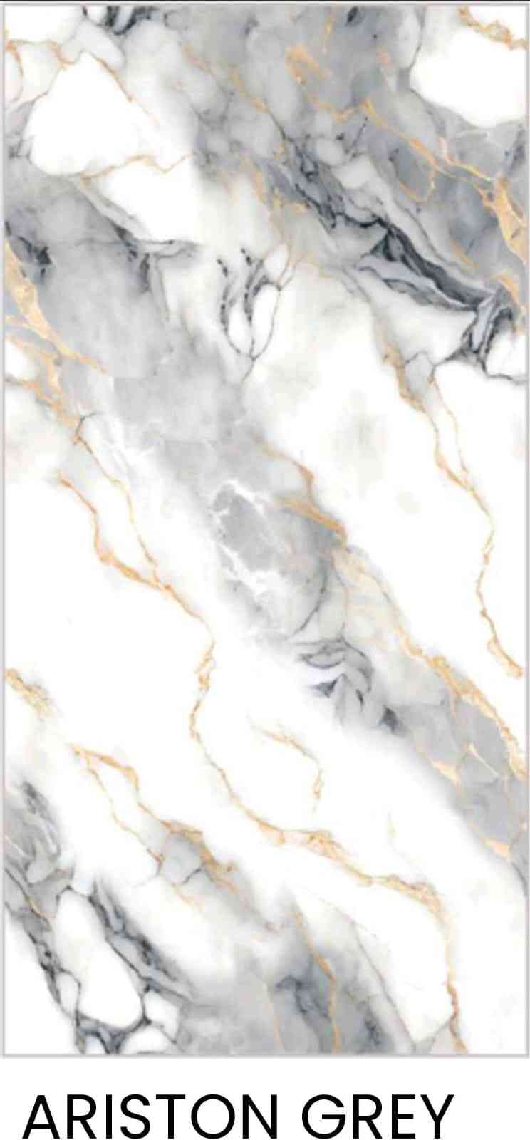 4x2 - Pgvt - Sarvo - Ariston Grey