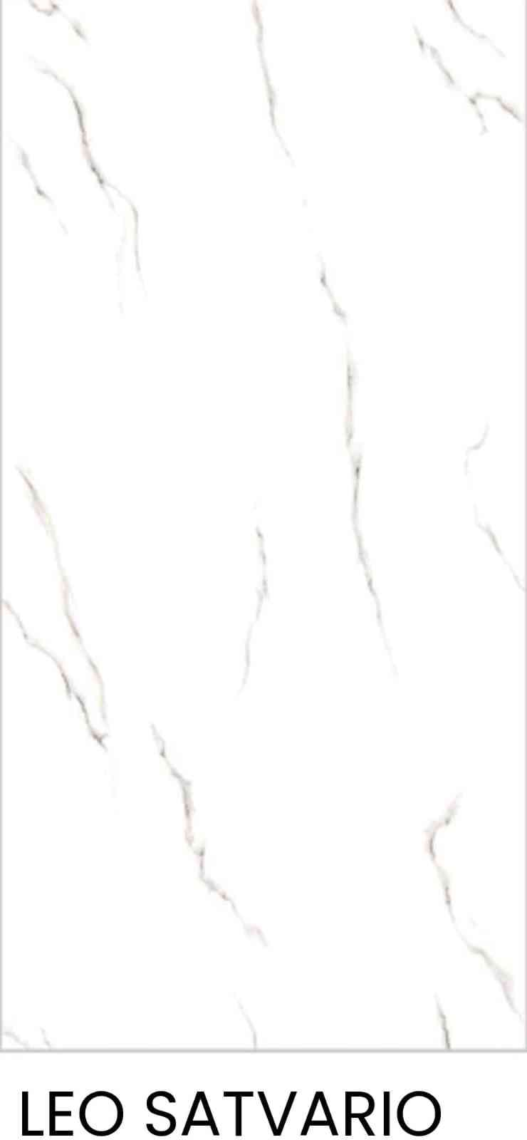 4x2 - Pgvt - Sarvo - Leo Satvario