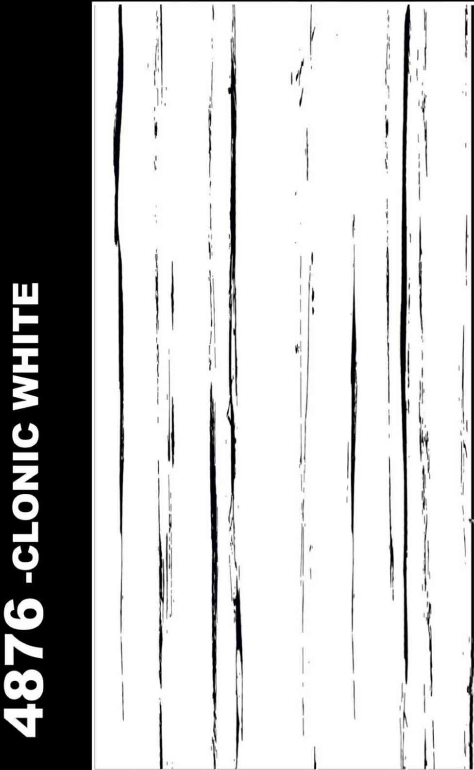 4x2 - Hg - Rudra - Clonic White - 4876