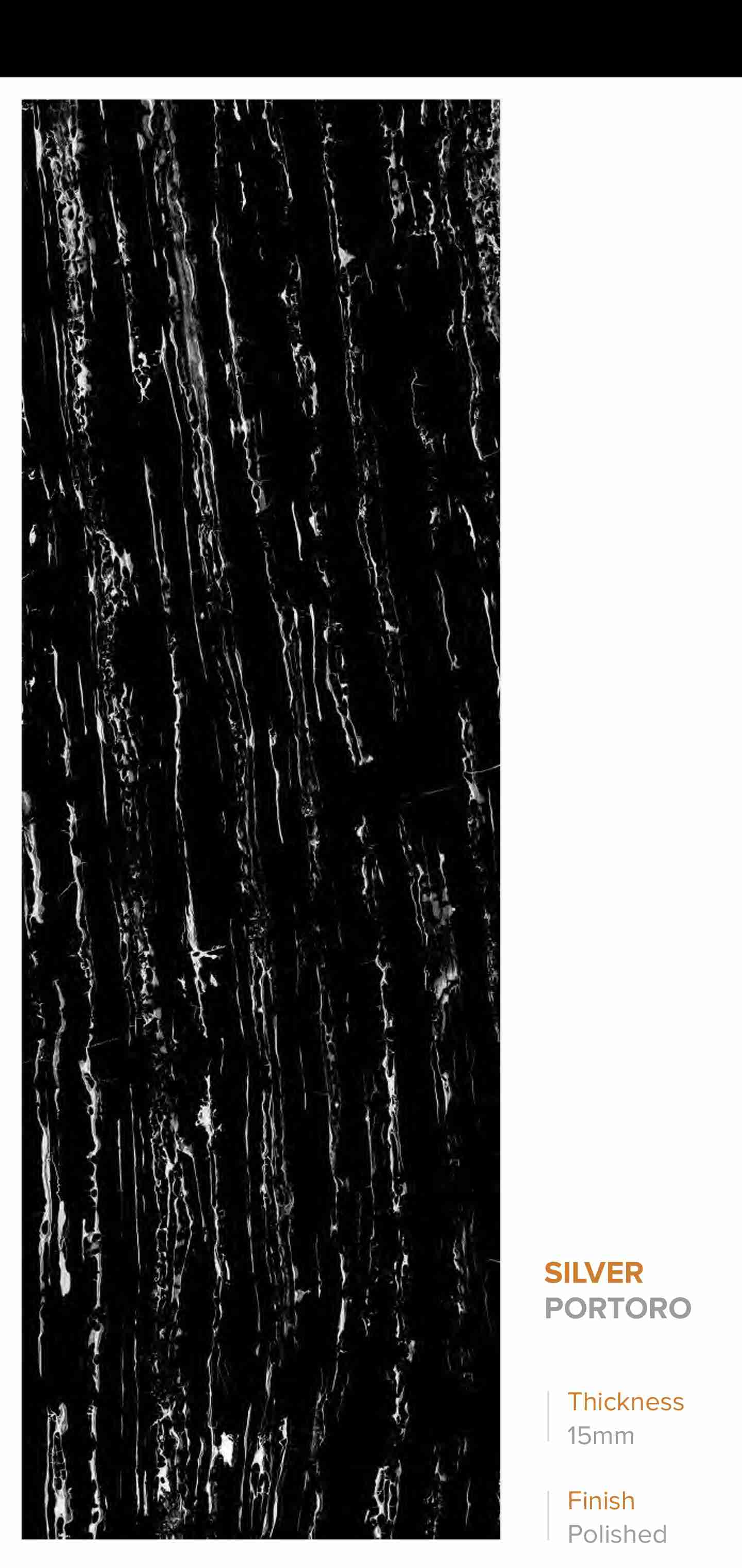 800x2400 - Slab - Silver Portoro