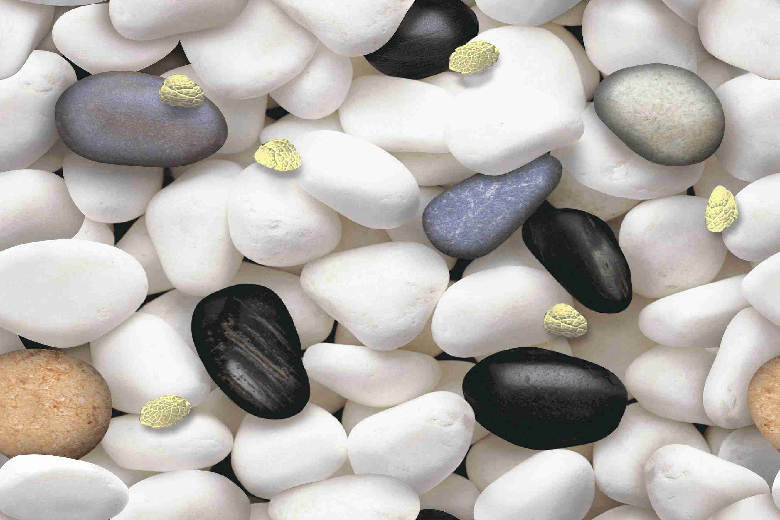 18x12 - Rudra - 16138 - D