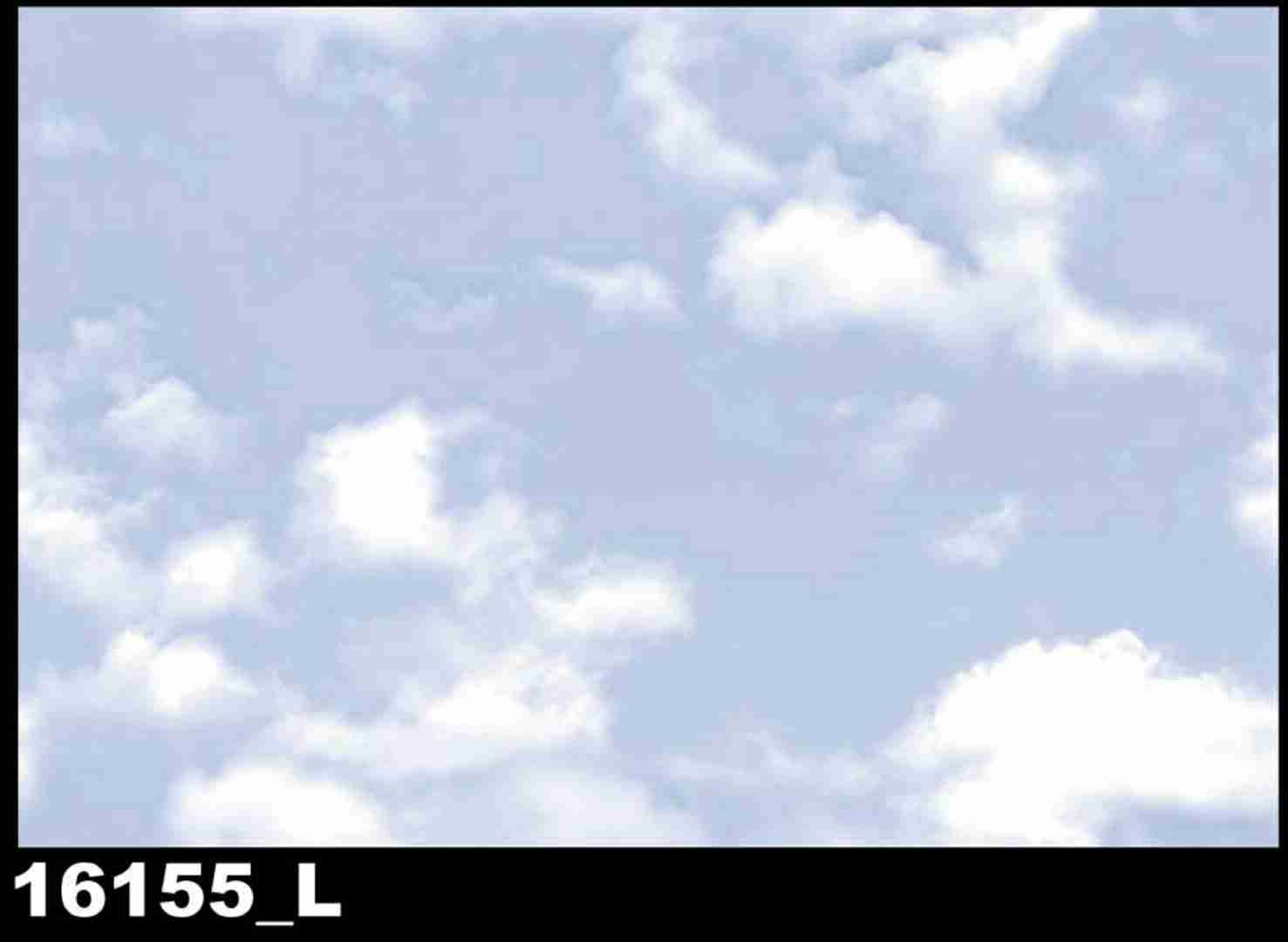 18x12 - Rudra - 16155 - L