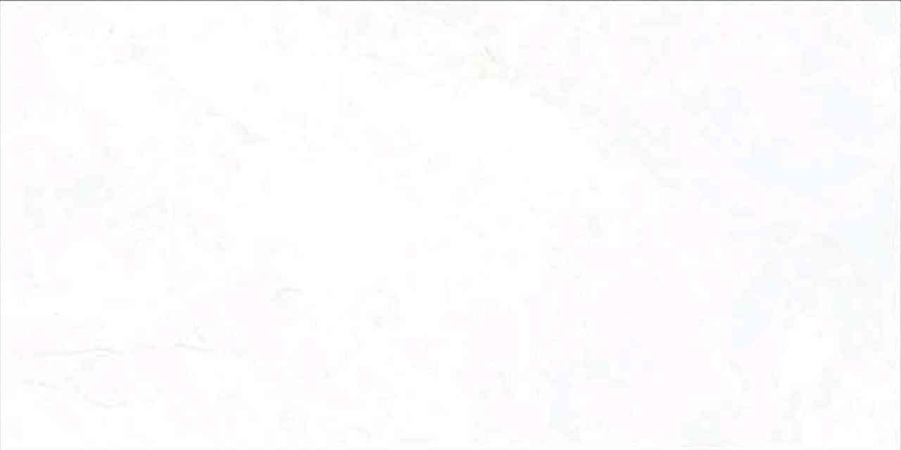 12x24 - Ace - 6179 - L