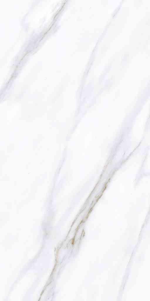 4x2 - Pgvt Pesto - Agl - Nora Bianco