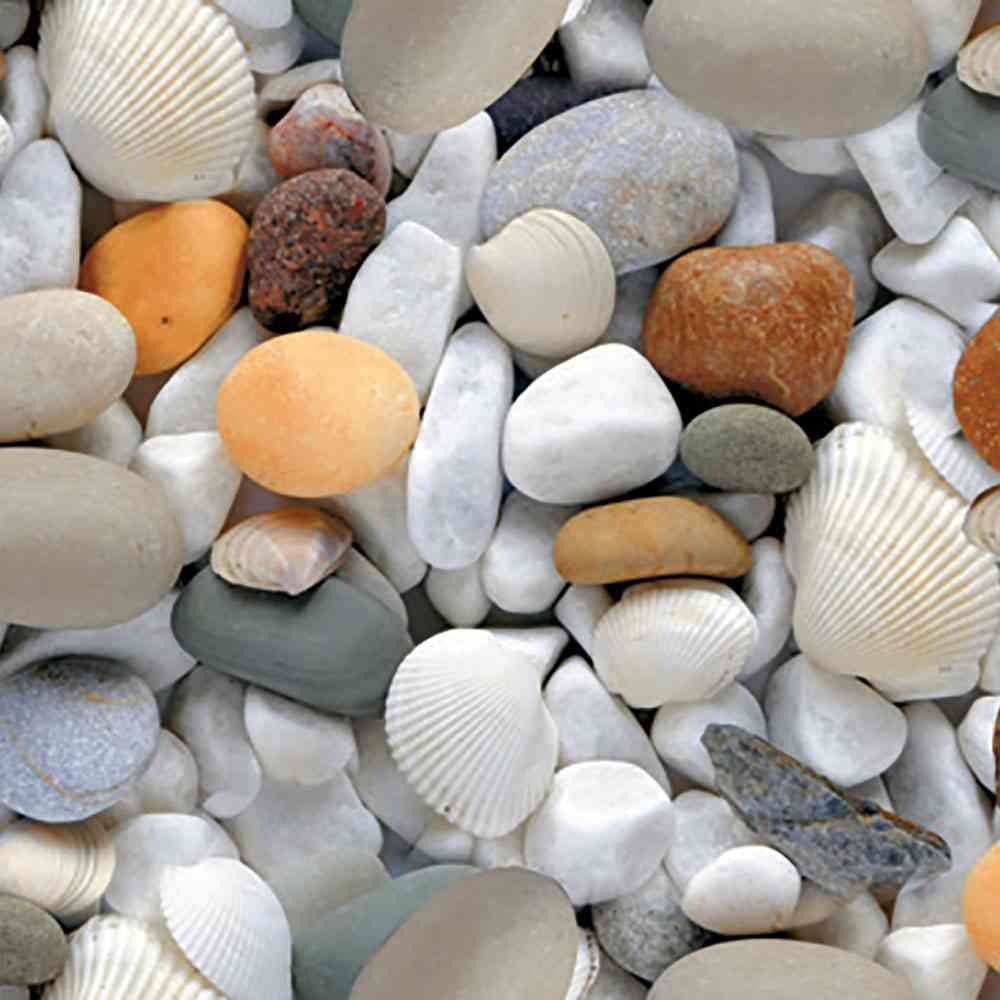 12x12 - Johnson - Coral - F ( 9 Pcs)