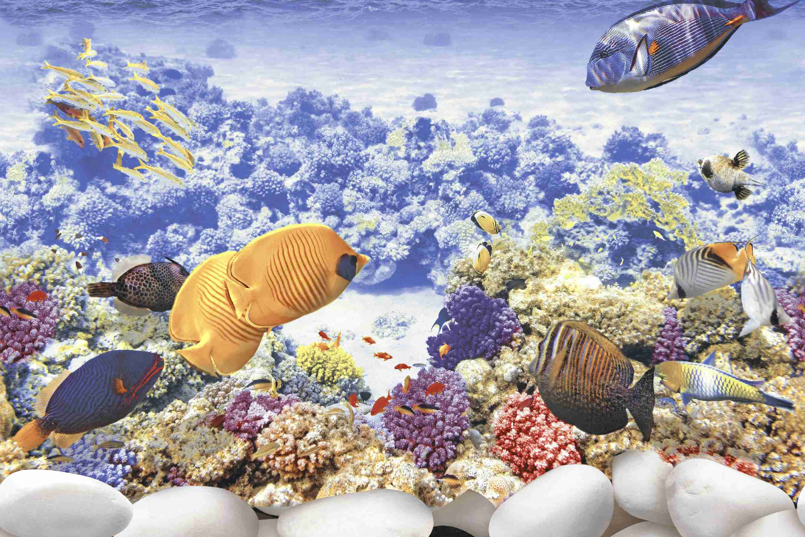 18x12 - Rudra - 16138 - Hl 6