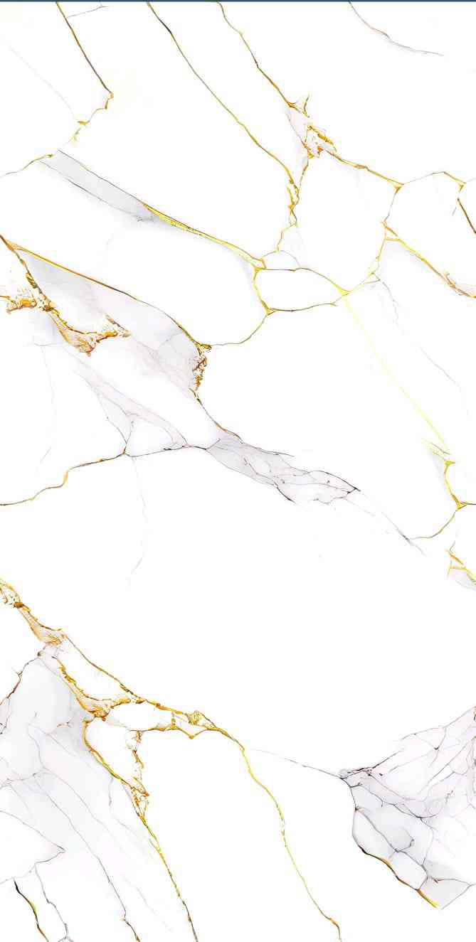 4x2 - Pgvt - Shreem - Calcatta Gold End Less