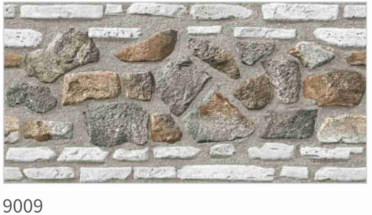 12x24 - Rudra -  Ele 9009