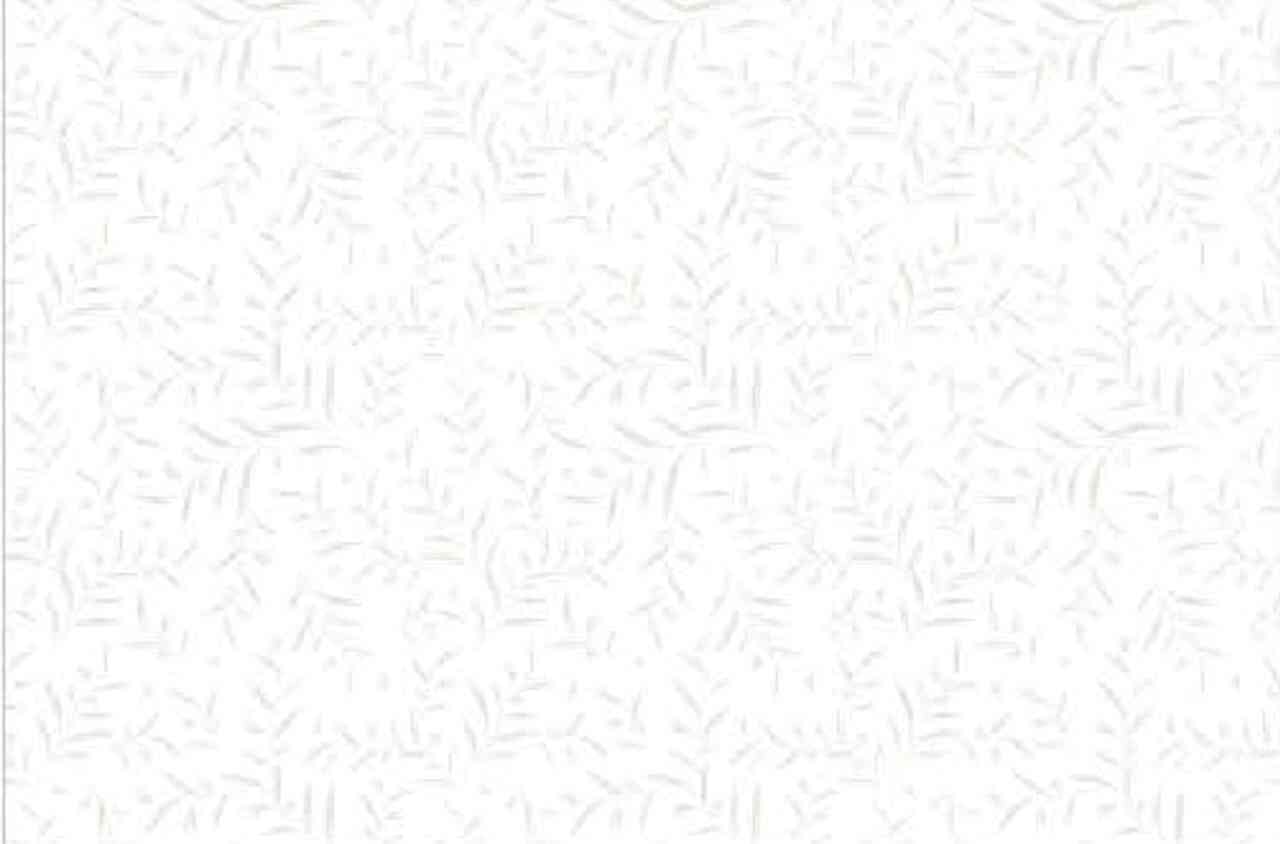 18x12 - Rudra - Kt 40 - L