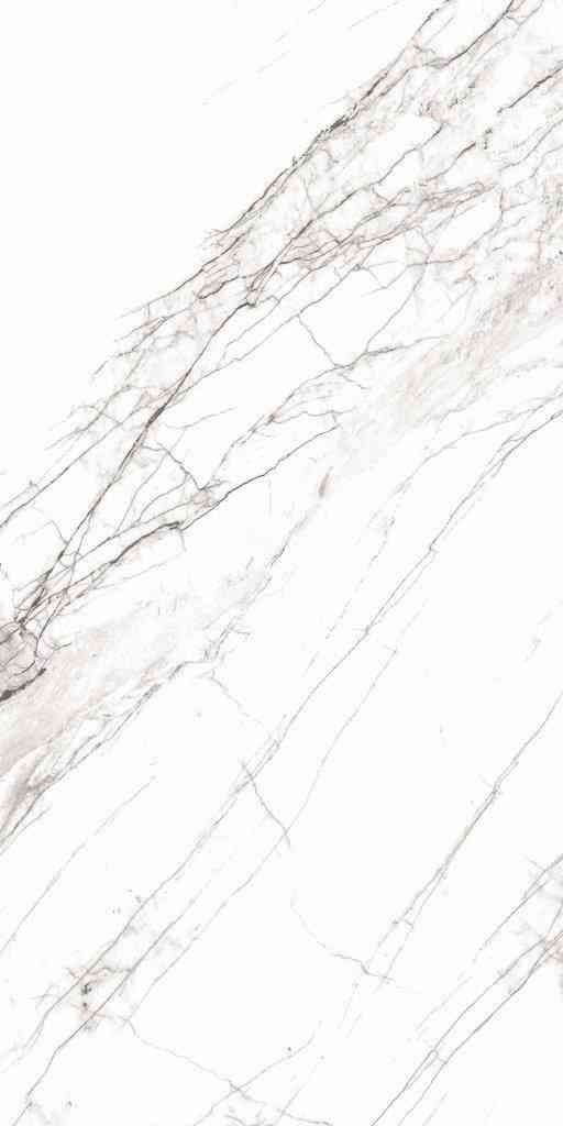 4x2 - Pgvt - Agl - Glacier White