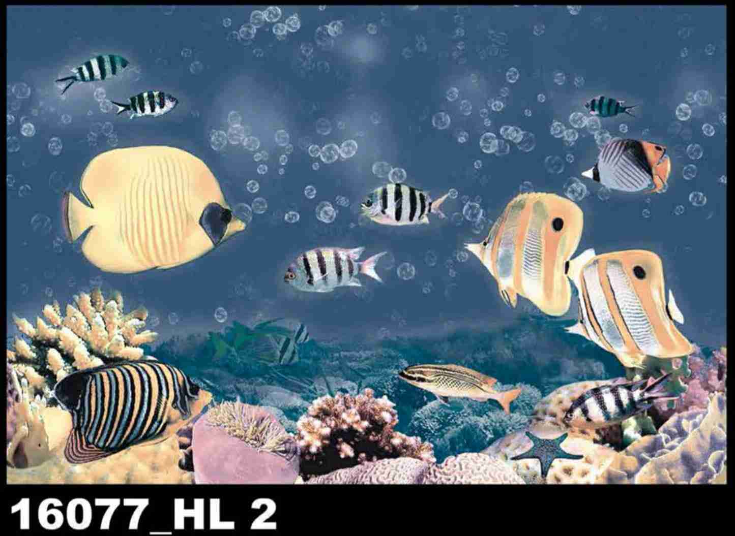 SOCH - TABLE TOP - COSMO