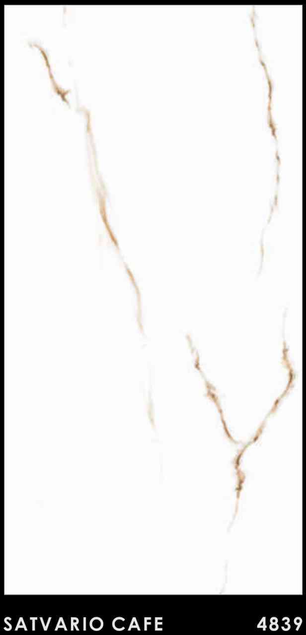 4x2 - Pgvt - Rudra - Satvario Cafe - 4839