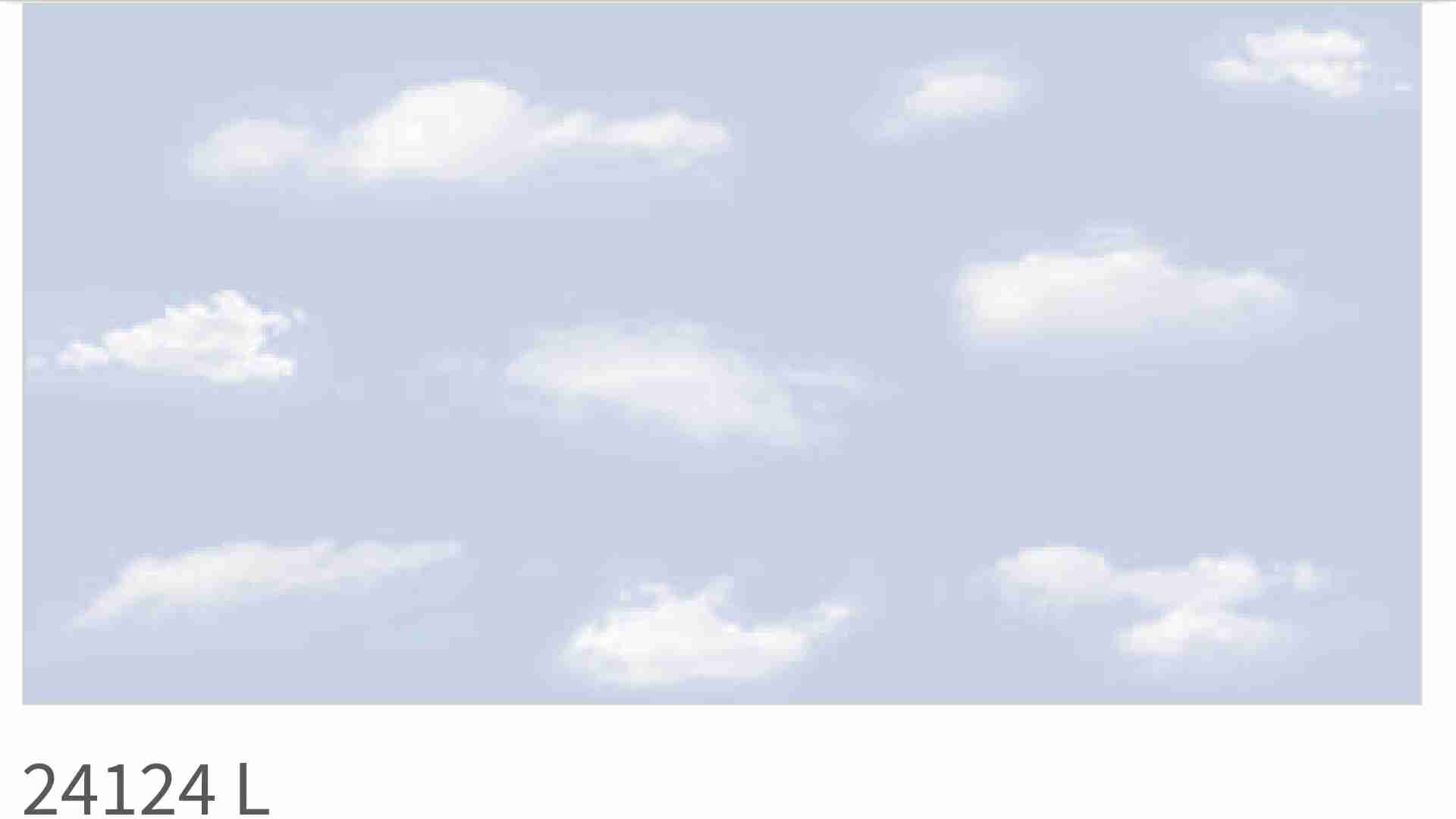 12x24 - Rudra -  24124 - L