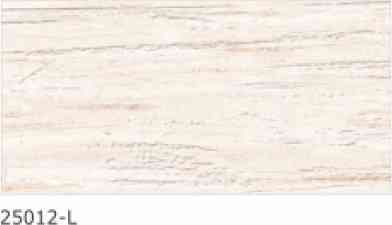 12x24 - Rudra - Matt - 25012 - L (4pcs)