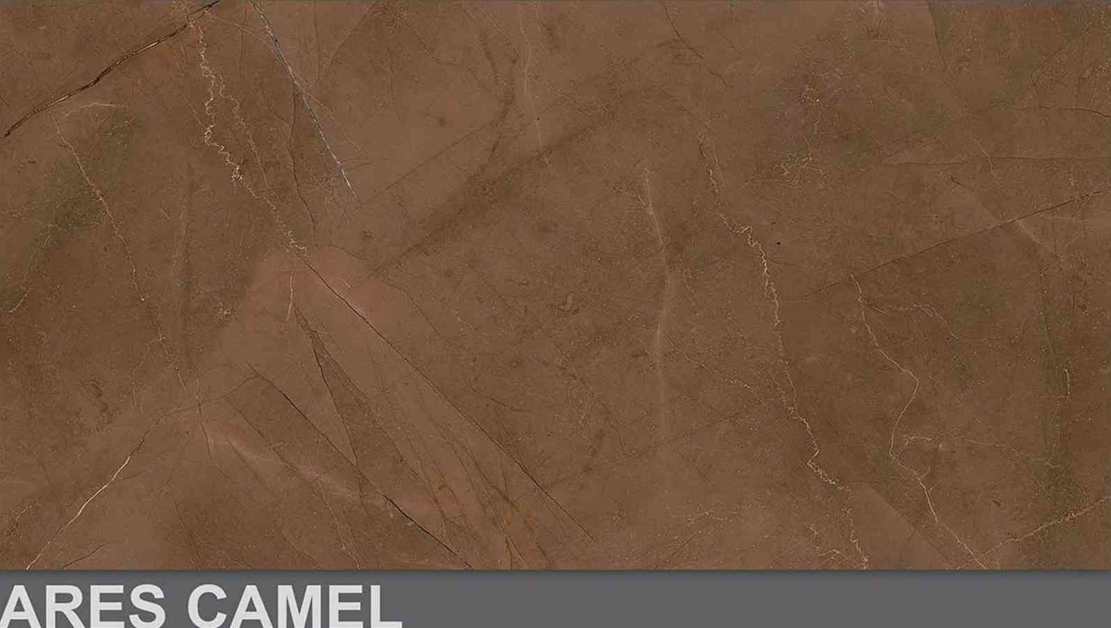 12x24 - Creanza - Ares Camel