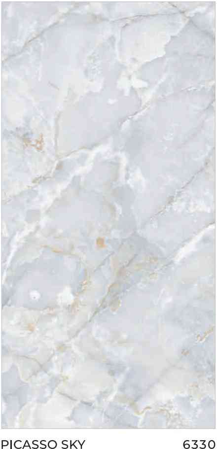 4x2 - Pgvt - Rudra - Picasso Sky - 6330