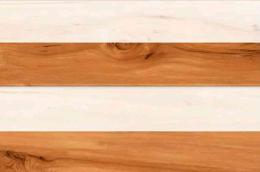 18x12 - Adesh - 2823 - Hl