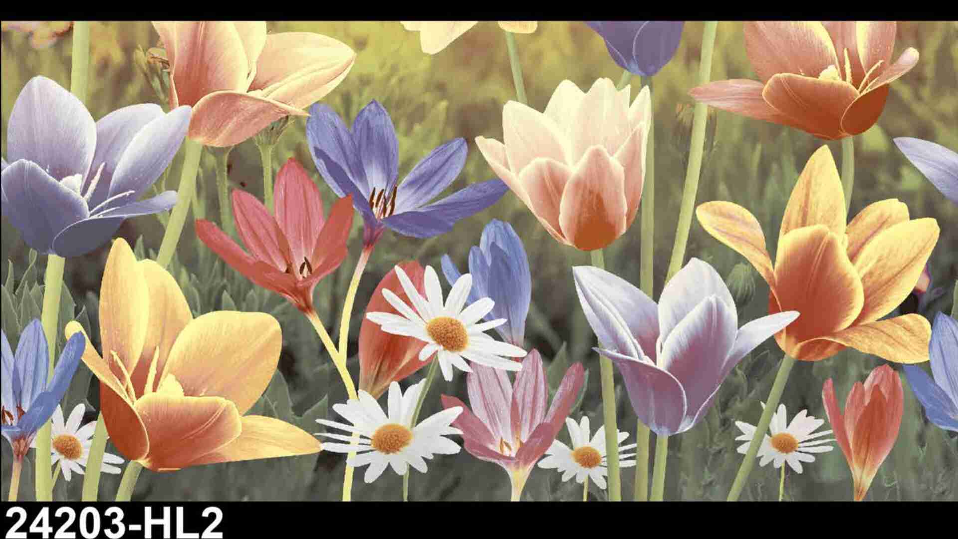 12x24 - Rudra -  24203 - Hl 2