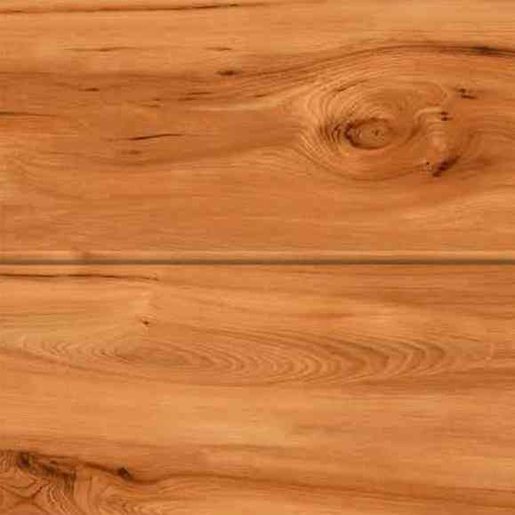 12x12 - Adesh - 2823 - F