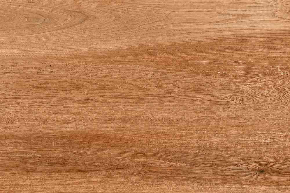 18x12 - Johnson - Woody - Dk