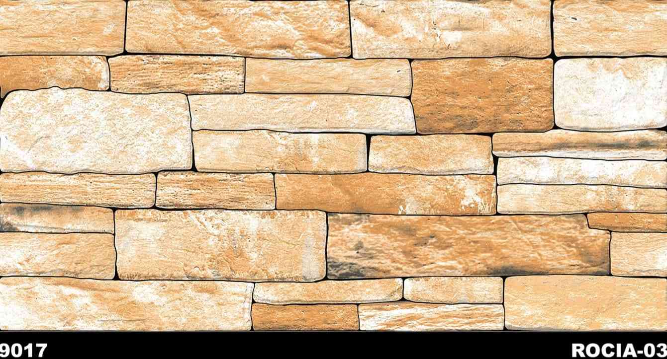 12x24 - Rudra - Ele 9017