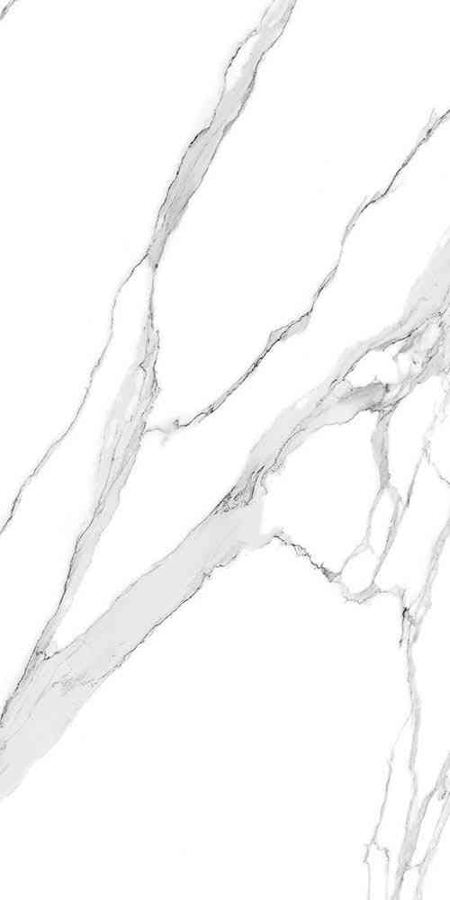 4x2 - Pgvt - Johnson - Laffine White