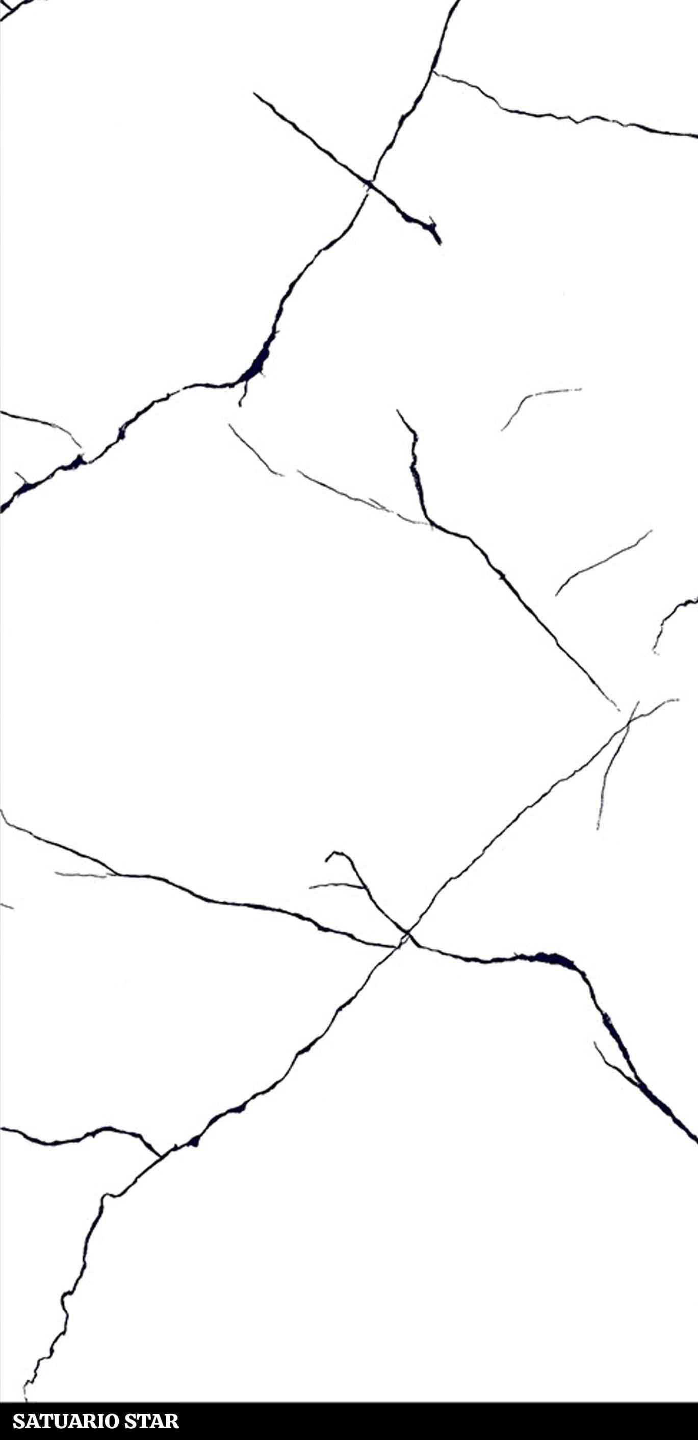 4x2 - Pgvt - Samp - Ice White - Satuario Star