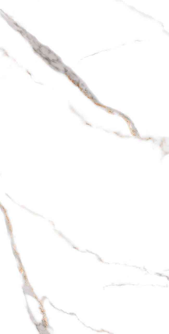 4x2 - Pgvt - Agl - Mottle White Fp