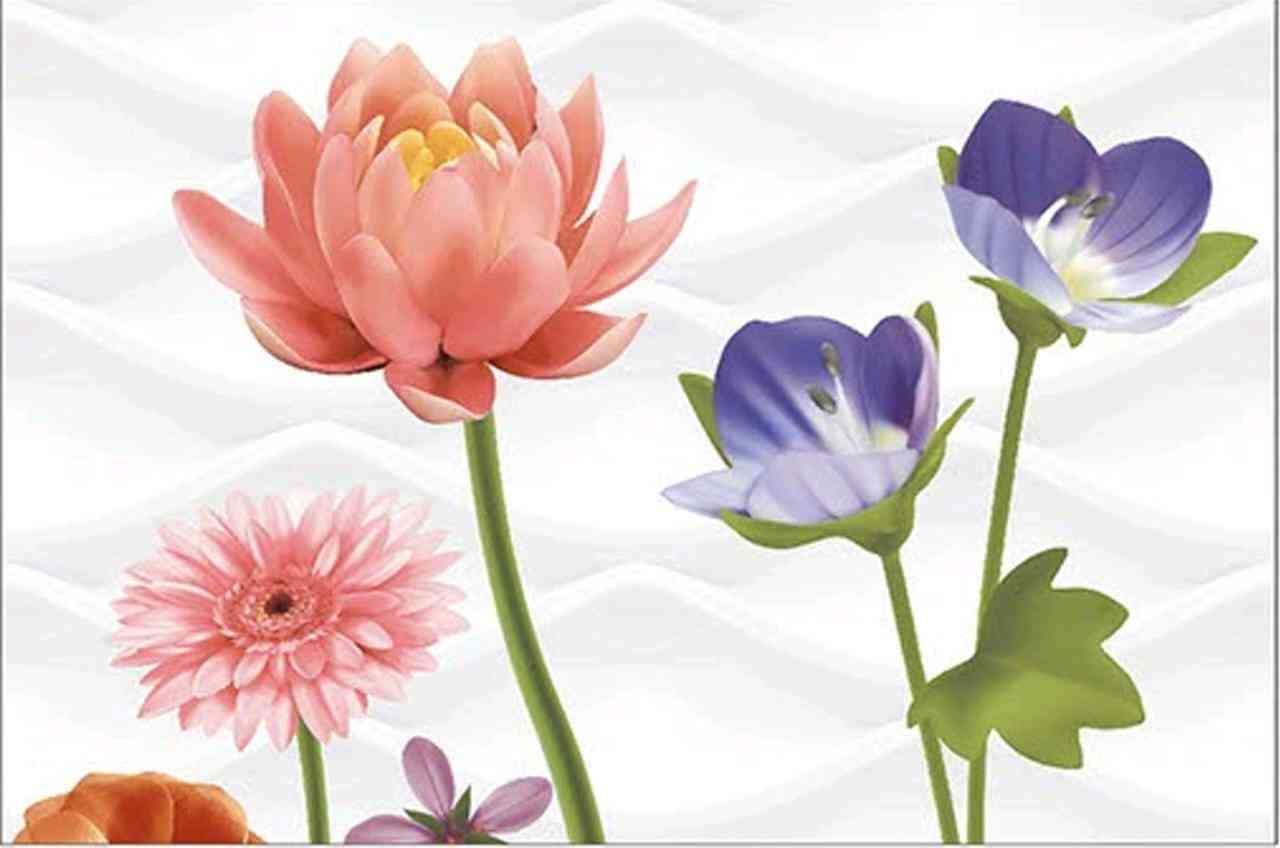 18x12 - Blissbury - Fi 33 - Hl 1