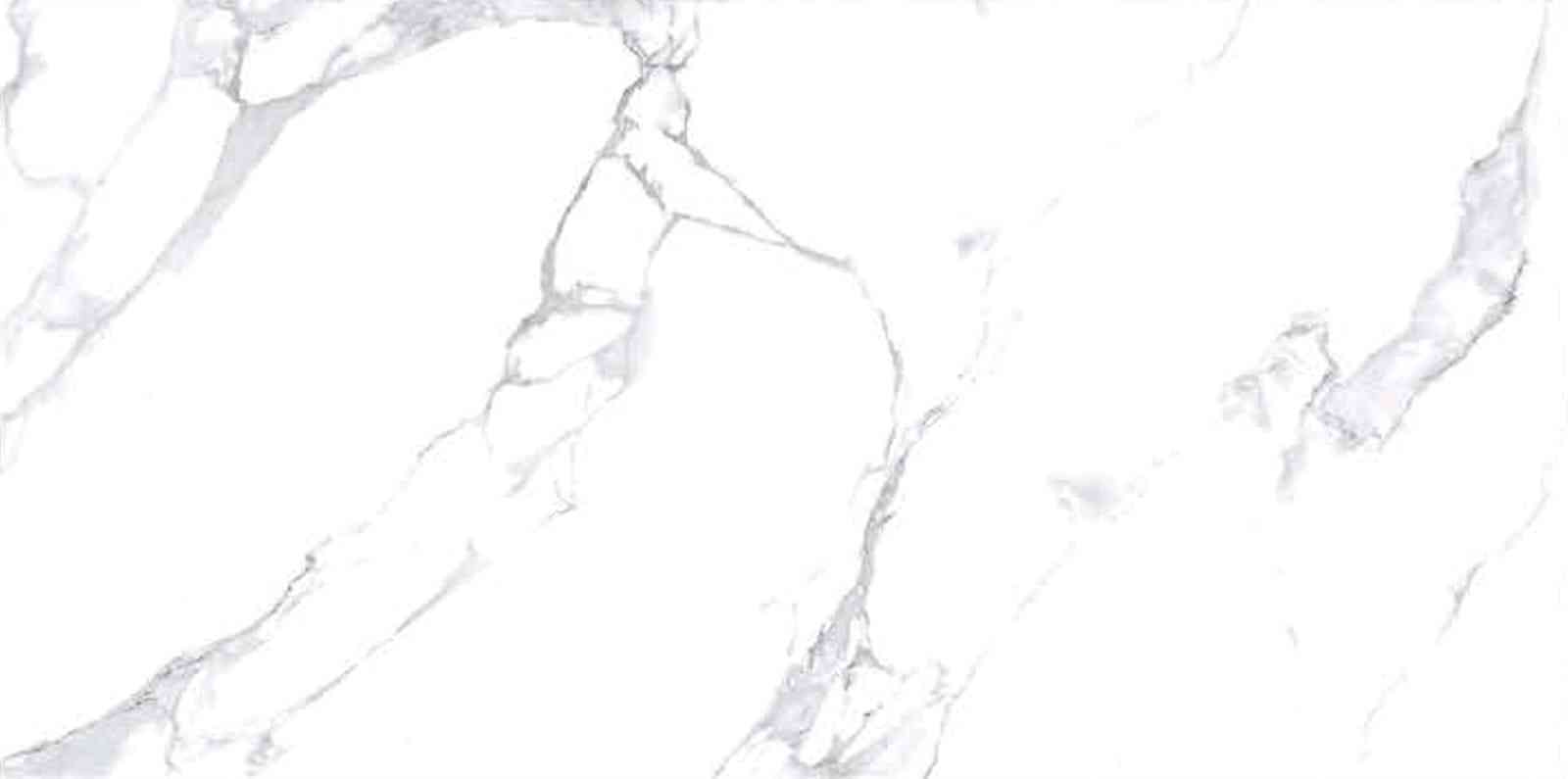 12x24 - Ace - 6161 - L