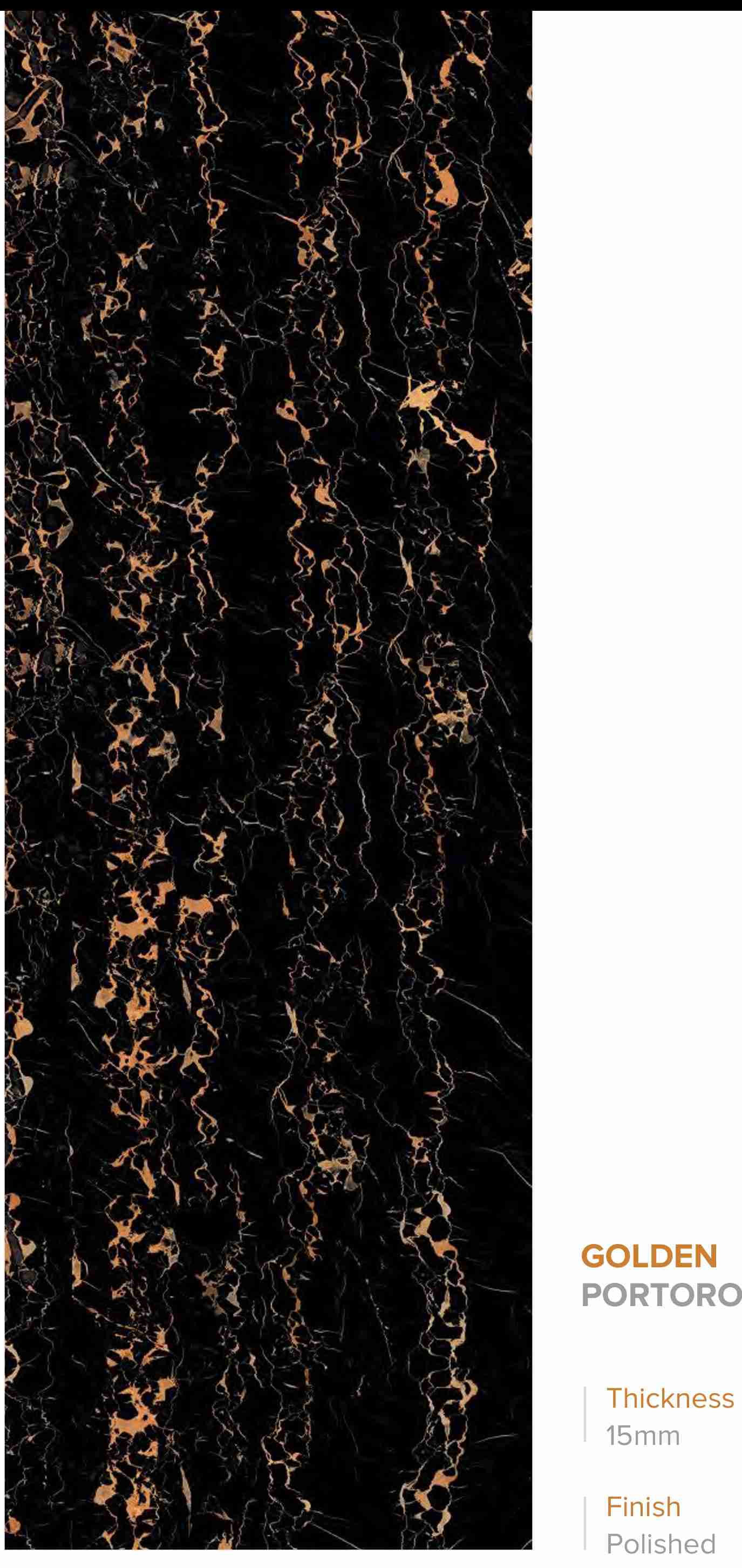 800x2400 - Slab - Golden Portoro