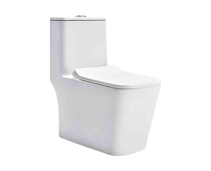 Cera - One Pcs - Charm 6d - 220 Mm