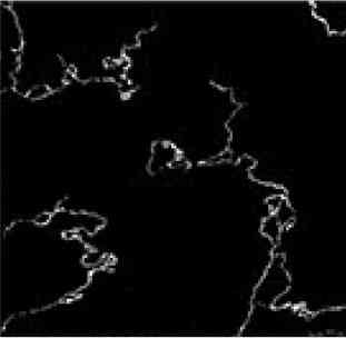 12x12 - Ace - 6353 / 2816 - F