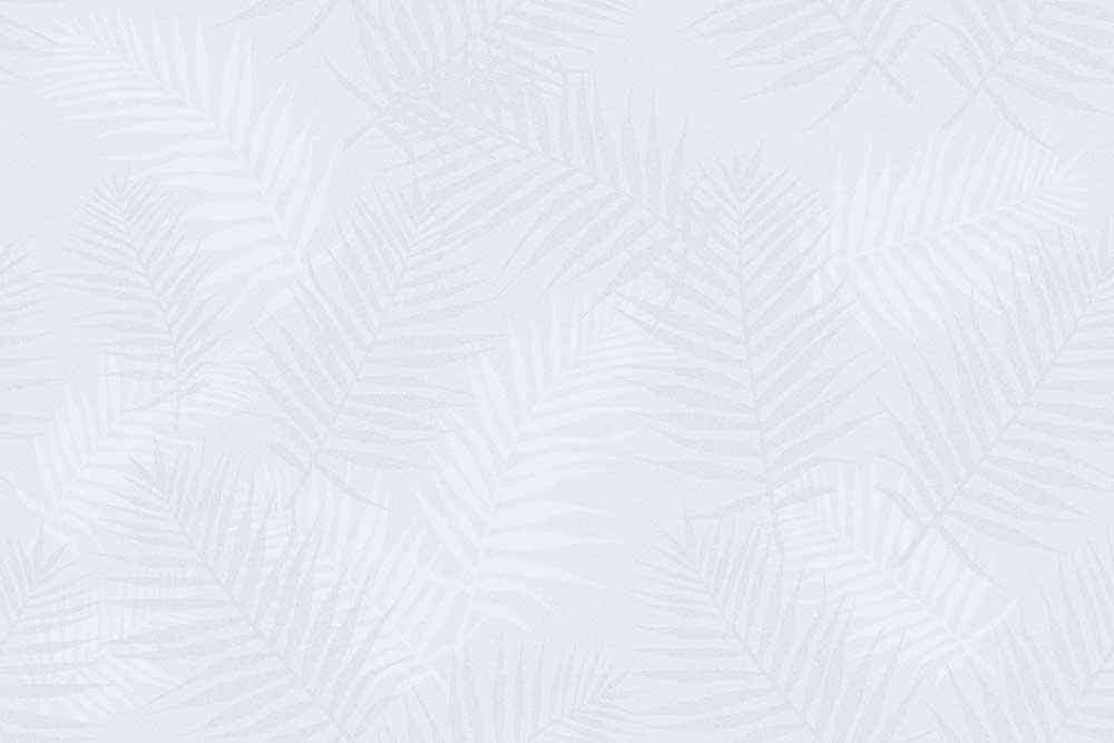 18x12 - Johnson - Imphal - Lt