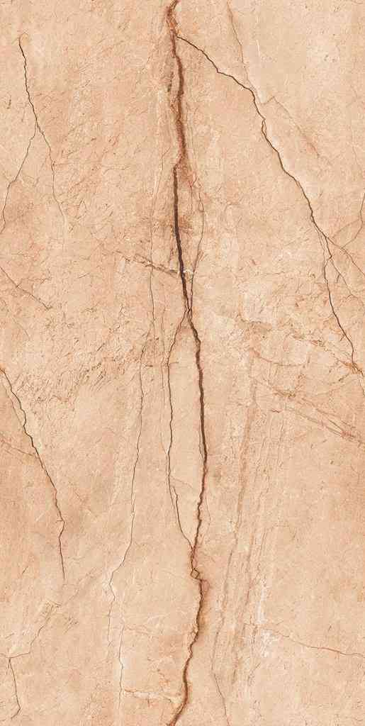 4x2 - Pgvt - Agl - Bronny Brown Fp