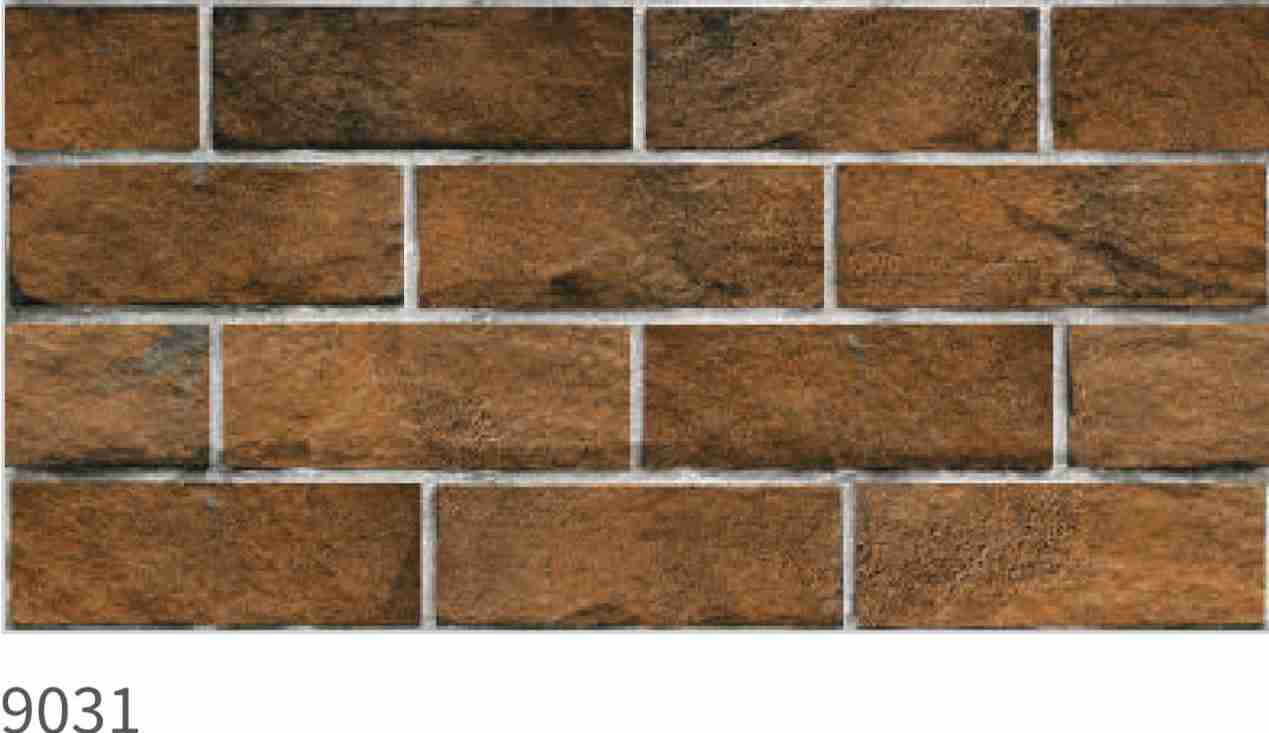 12x24 - Rudra -  Ele 9031 (6 Pcs)