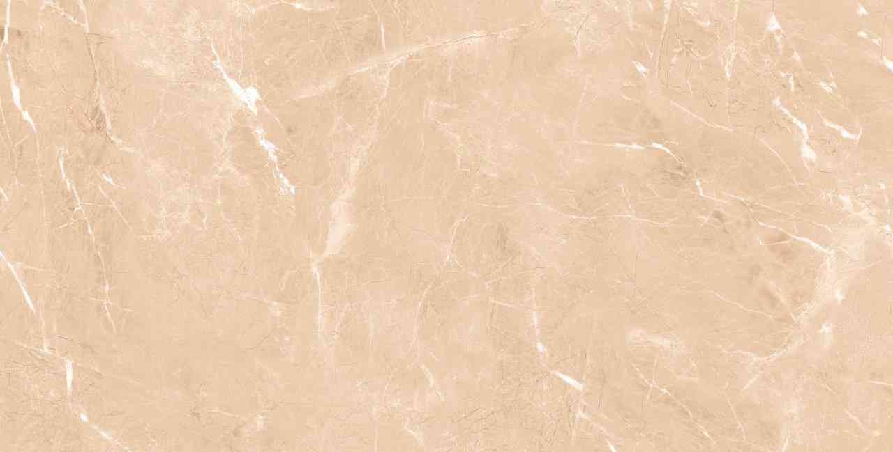 4x2 - Pgvt - Agl - Moon Beige Dk