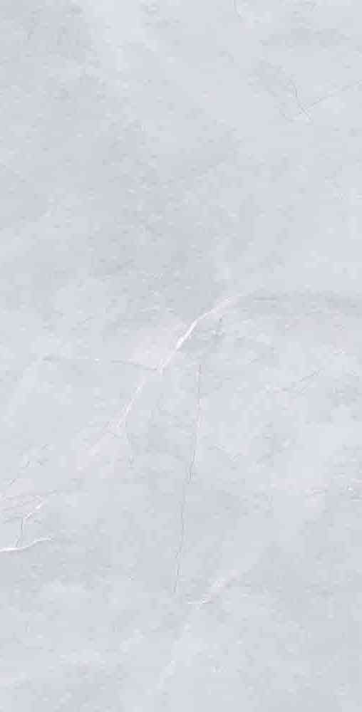 4x2 - Gvt - Johnson - Shell Grey