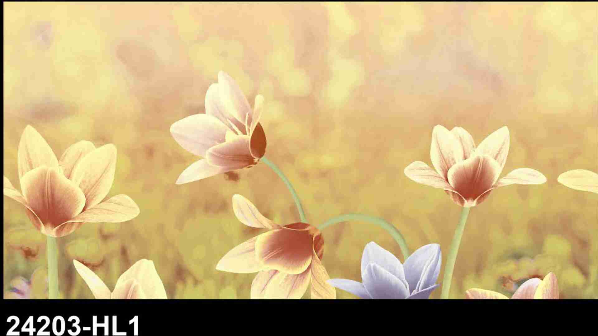 12x24 - Rudra -  24203 - Hl 1