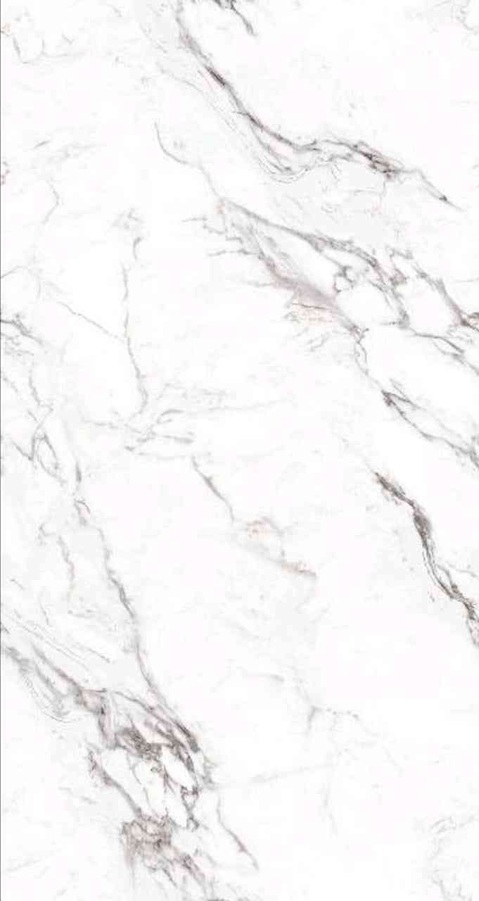 4x2 - Pgvt - Coins - End Match Neelex Staturio