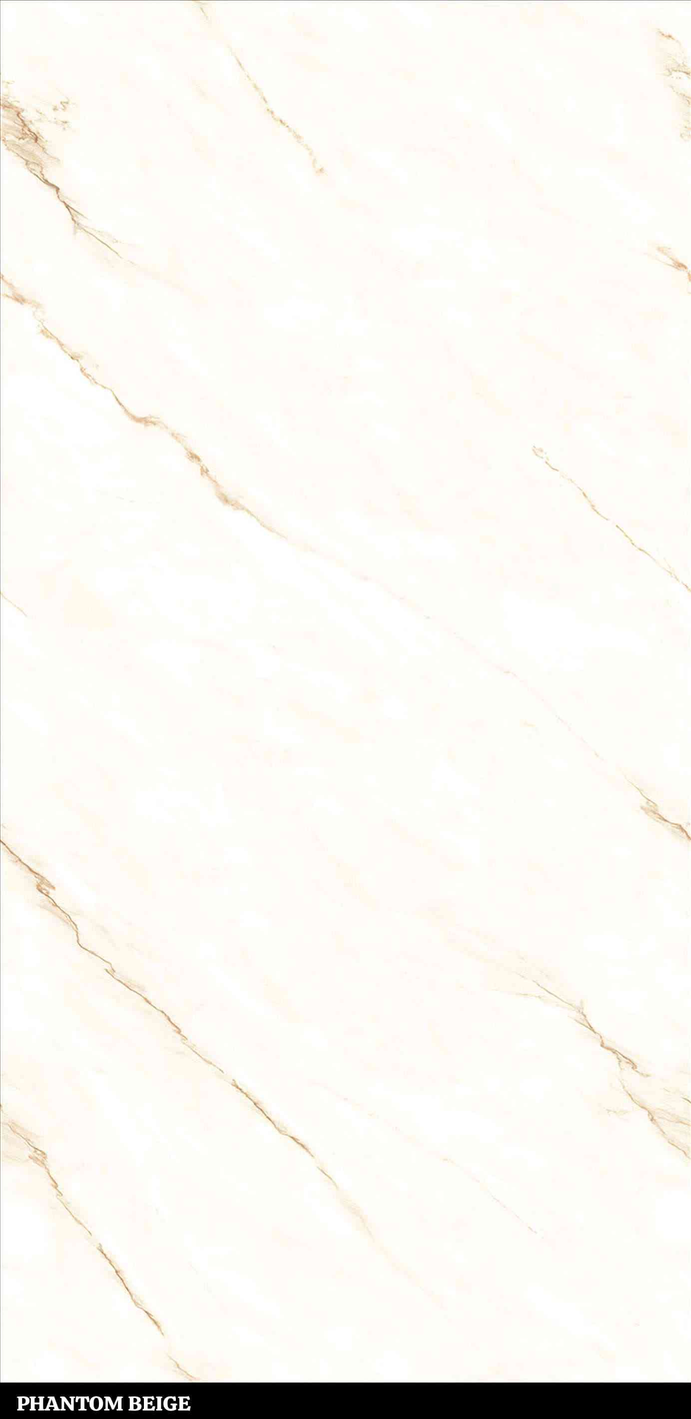 4x2 - Pgvt - Samp - Phantom Beige